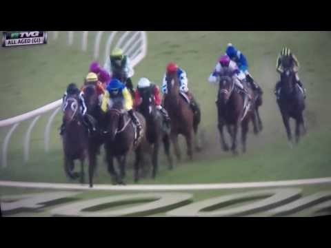 ALL AGED G1 STAKES -TIVACI !!!