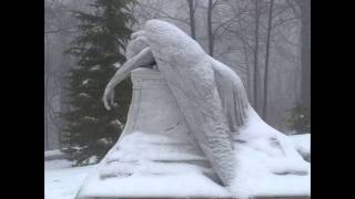 Oscar and the Wolf - Crossroads