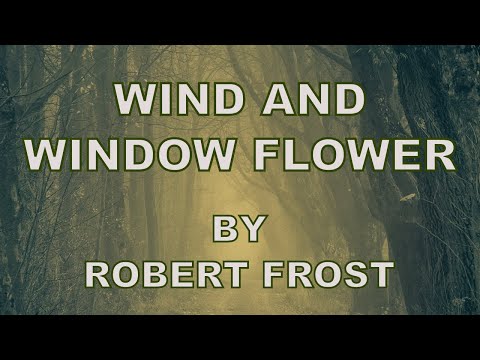 Video thumbnail for Wind and Window Flower