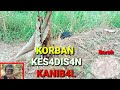 BEGINILAH KORBAN KES4DIS4N K4NIB4L Mbahwongso Sabrangblundeng7401