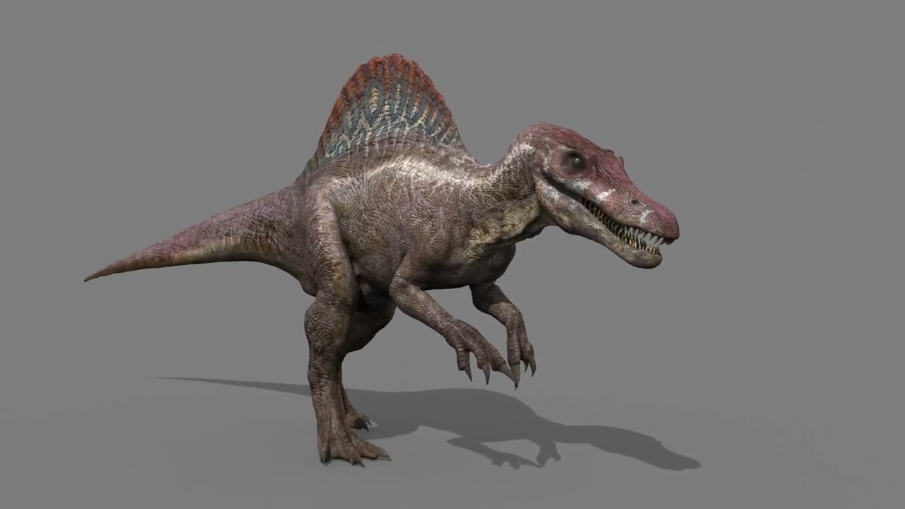 Suchomimus Mongolica - 8K animated JP3 Spinosaur 3D Model
