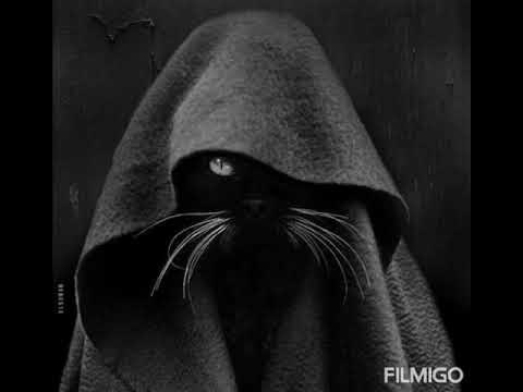 Reeka Picasso - Auf der Suche nach Stoff