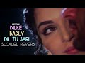 DIL KE BADLY DIL TU SARI DUNIYA SLOWED REVERB