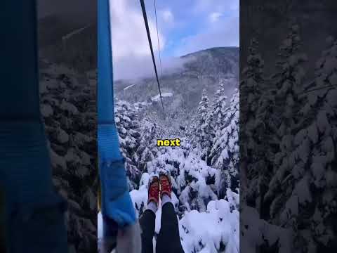 Adrenaline Canada