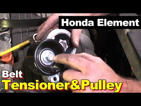 2006 Honda Element Tensioner Pulley and Serpentine Belt