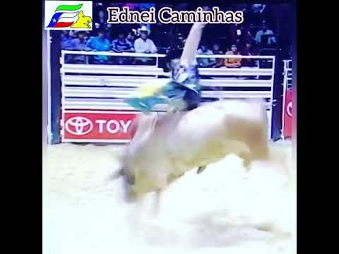 EDNEI CAMINHAS - RODEO