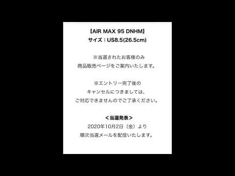 NIKE AIR MAX95 DENHAM DNHM