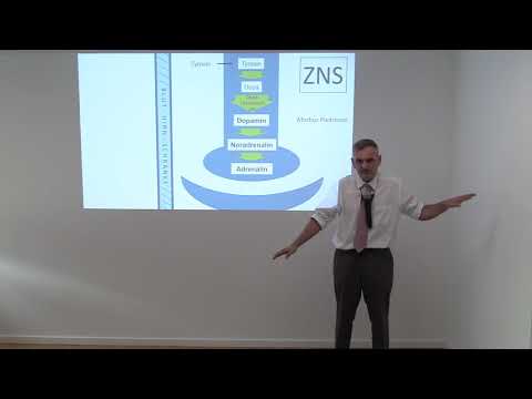 04. Monoamine 1: RR, Parkinson, MAO-Hemmer, Antisympathikotonika