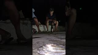 Download lagu Night fishing with Birthday boy mp3