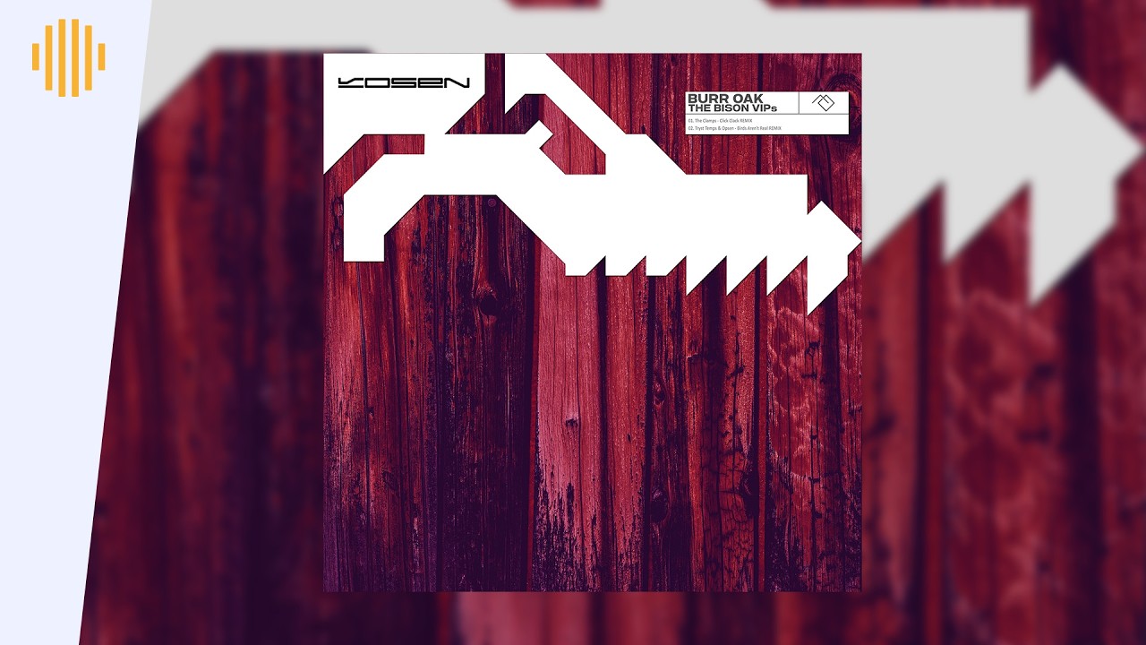 Tryst Temps & Opsen - Birds Aren't Real (Burr Oak Remix) I Drum & Bass