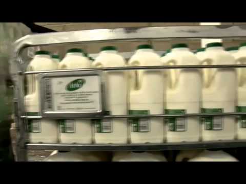 download lagu mp3 mp4 Electronic Delivery Note, download lagu Electronic Delivery Note gratis, unduh video klip Electronic Delivery Note