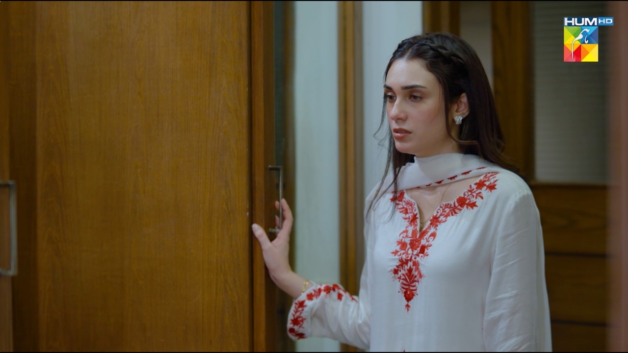 Mirha Ke Dil Mein Aya Shohar Ke Liye Shak...! Aye Dil Aazma Nahin - Hina Tariq - HUM TV