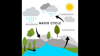 The Water Cycle: How Earth's water is always on the move (6.E.2A.3 6th Grade)