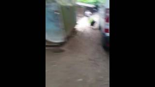 Download lagu Negro (schwarz) & Cuki (hell) im Mai 2016 mp3