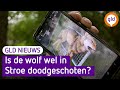 GLD Nieuws 15 oktober 2021