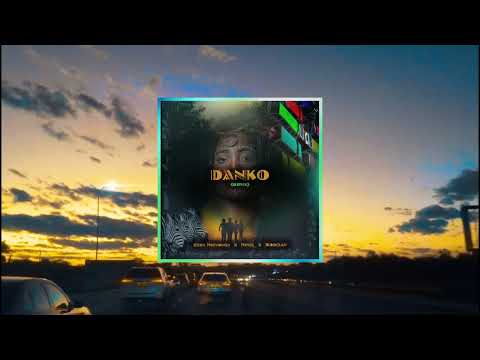 DANKO REMIX VISUALIZER -  EZRA NEETHINGS, KHOISAN, NIMIX - ORIGINAL AUDIO