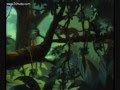 Jungle Cubs Bagheera Fandub Preview