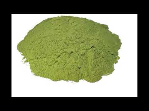 Green clay stevia plants dry leaves and powder, for medicine