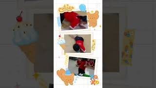 Download lagu Bermain Halang Rintang mp3