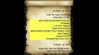 משניות זבחים פרק יא משנה א