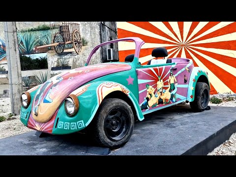 HONEY, SHAMAN AND CHOCOLATE IN COZUMEL