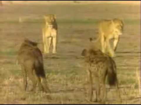 He Who Greets With Fire