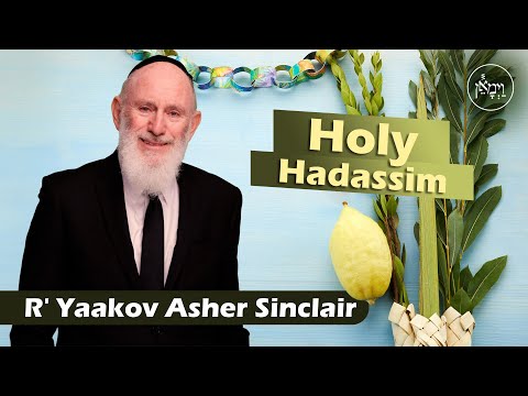 Holy Hadassim | Rabbi Yaakov Asher Sinclair