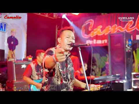 CAMELIA - MANIS MARLIN  - WALIMATUL KHITAN - ZULFAN MAULIDAN - JAMBU TIMUR MLONGGO JEPARA