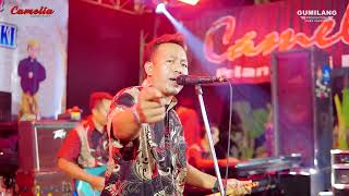 Download lagu CAMELIA - MANIS MARLIN  - WALIMATUL KHITAN - ZULFAN MAULIDAN - JAMBU TIMUR MLONGGO JEPARA mp3