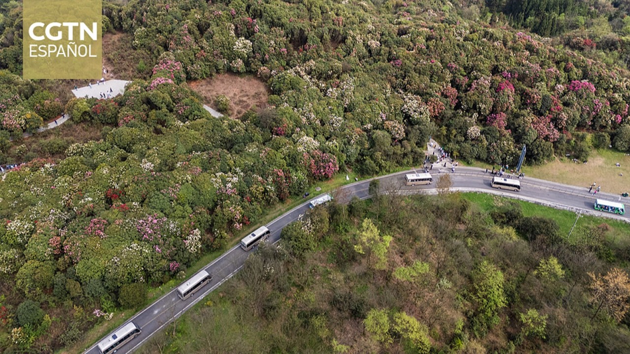 China registra un progreso sostenido en la reforestación y el crecimiento forestal