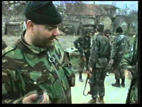 Inside Story: Dogs of War