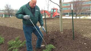 preview picture of video 'Landscape Establishment Commercial Landscaping Kansas City'