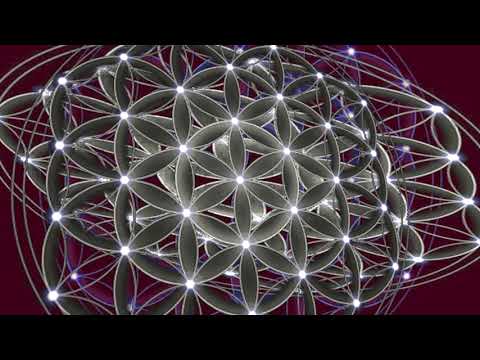 Day 9 Alignment Matias De Stefano