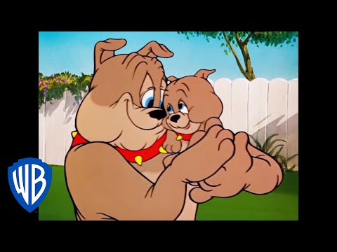 Capa de Tom & Jerry em Português | Brasil | Spike, o Pai do Ano | WB Kids