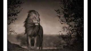 Luciano - No secrets