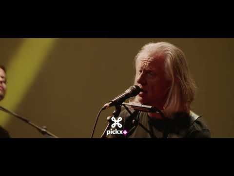 Guy Swinnen Band - Without you LIVE