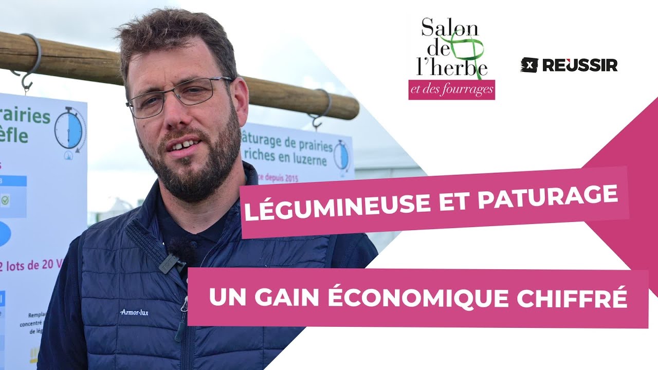 Légumineuses dans les prairies : un gain économique chiffré