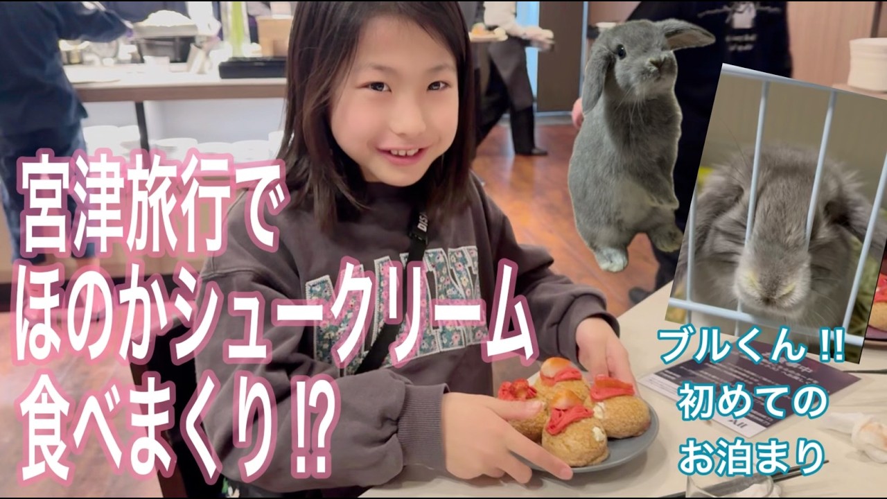 ジュニア体操選手たけとほのかの宮津リフレッシュ旅行。ロップイヤーラビットのブルくんも初めてのお泊まりかな。