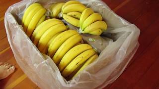 Banana Porn: How To Ripen Your Banana | 40BelowFruity