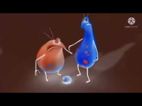 Erky perky In G Major Intro