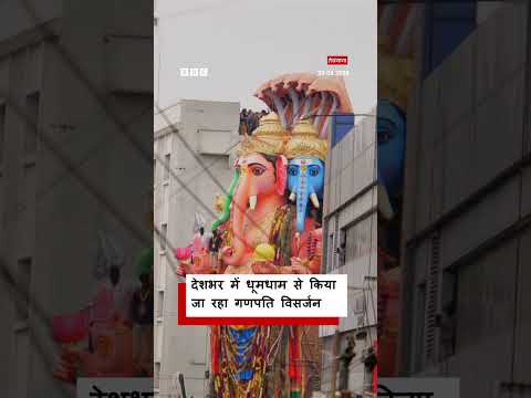 देशभर में मधुमक्खी सेहो रहा है