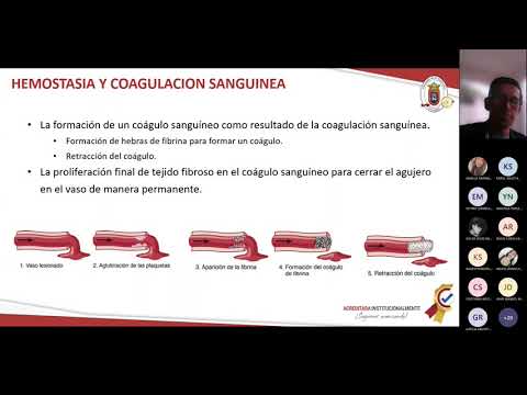 20/10/21 Fisiología clase 31 - parte 1