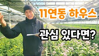 11연동 국화 하우스 모든 시설 완비 이정도면 가격이?