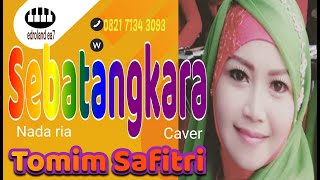 Download lagu Kusadari sebatangkara  #TomimSafitri mp3