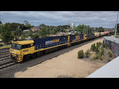 4AM5 Pacific National Intermodal Freight 30/01/25