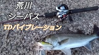 荒川　シーバス調査　2024年5月12日　TDバイブレーションでシーバス