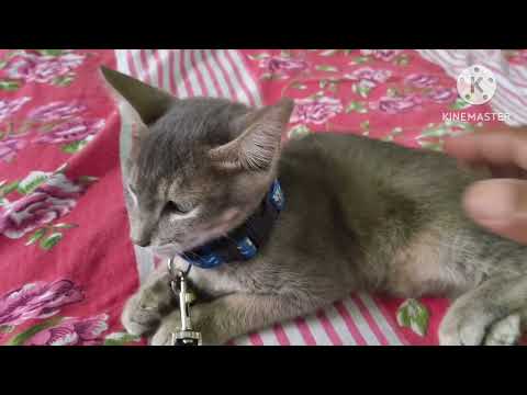 Kareena bhug lag gaya.