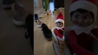 SHOE SHOE TRAiN with SNOWY and ELFY!! Adley Niko & Navey look for Stinky Chocolates on DAY 6 ✨