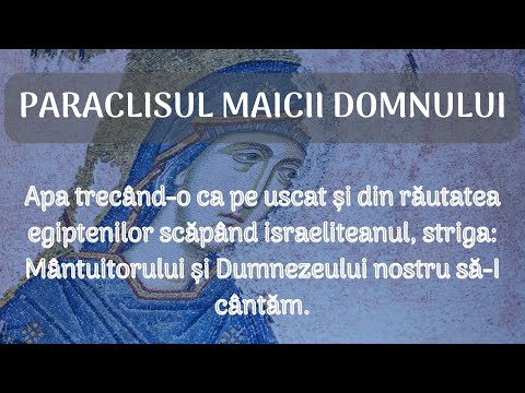 Paraclisul Maicii Domnului [scris și citit, pe capitole] - Vlad Roșu