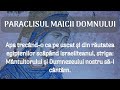 Paraclisul Maicii Domnului Scris și Citit Pe Capitole Vlad Roșu